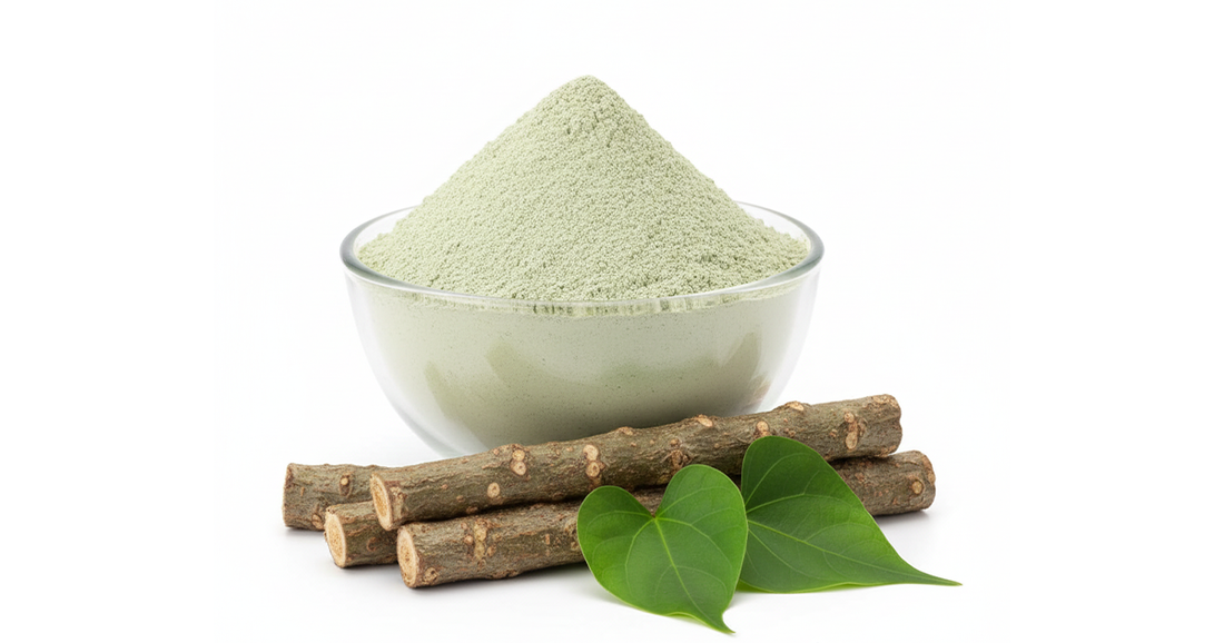 The Immunity-Boosting Powerhouse: Why Guduchi Extract is a Must-Have