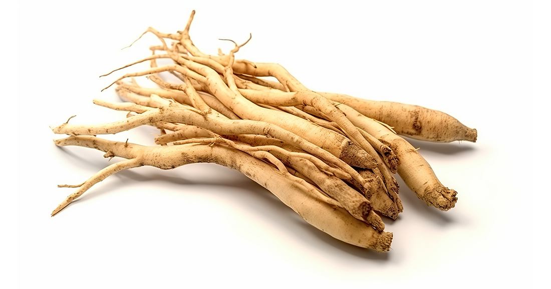 Satawar: A Woman's Best Friend for Hormonal Balance and Vitality
