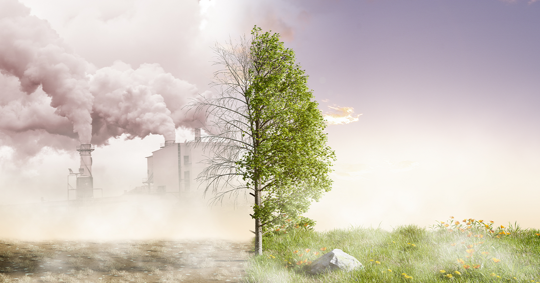 Invisible Threats: Protecting Your Body from Environmental Toxins and Nutrient Depletion