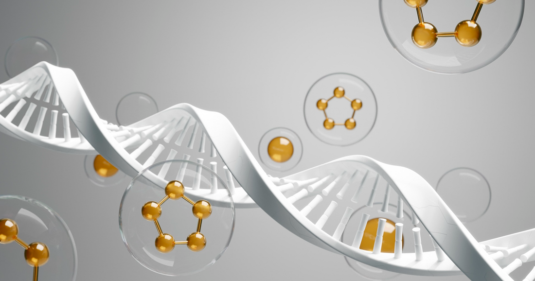 The Blueprint of Life: Nutrients That Support Healthy DNA and Cell Renewal