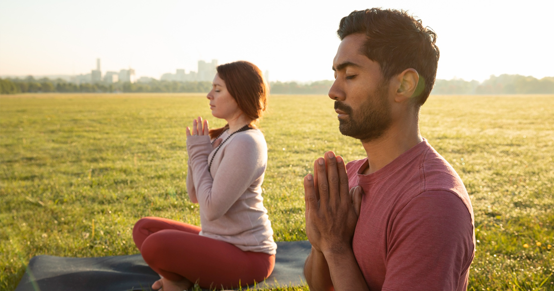 The Immunity Gatekeeper: Zinc’s Critical Role in Defense and DNA Repair