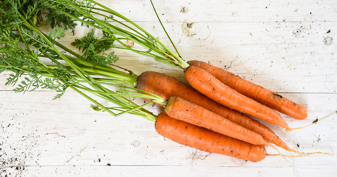 Beta-Carotene: The Safe, Plant-Based Path to Vitamin A & Vision